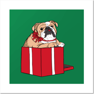 Illustrated cute english Bulldog jumping out of a red present box Posters and Art